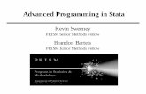 Brandon - Advanced Programming Presentation