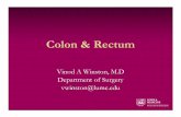 Colon & Rectum Questions