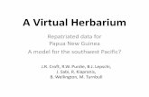 A Virtual Herbarium