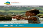 Natural SolutioNS for Water Security