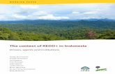 The context of REDD+ in Indonesia - Center for International