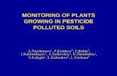 MONITORING OF PLANTS GROWING IN PESTICIDE POLLUTED SOILS