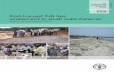 Post-harvest fish loss assessment in small-scale fisheries: A guide for the extension officer