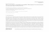 Neurotrophin and Neurotrophin Receptor Involvement in Human Neuroblastoma