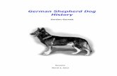 German Shepherd History -