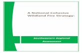 A National Cohesive Wildland Fire Strategy: - Southern Group of