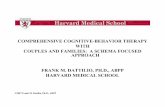 comprehensive cognitive-behavior therapy with couples and families