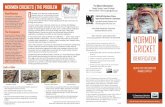 MORMON CRICKETS | THE PROBLEM Robert Srygley, Insect ...