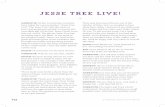 Jesse Tree Live!