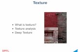 What is texture? • Texture analysis • Deep Texture