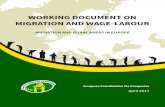 WORKING DOCUMENT ON MIGRATION AND WAGE-LABOUR