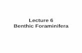 Lecture 6 Benthic Foraminifera