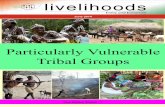 Particularly Vulnerable Tribal Groups