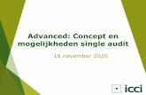 Advanced: Concept en mogelijkheden single audit