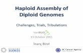 Haploid Assembly of Diploid Genomes