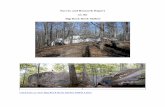 Survey and Research Report on the Big Rock Rock Shelter