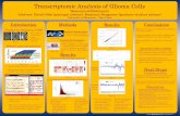 Transcriptomic Analysis of Glioma Cells