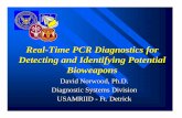 Real-Time PCR Diagnostics for Detecting and Identifying ...