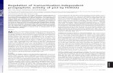 Regulation of transactivation-independent proapoptotic ...