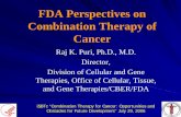 FDA Perspectives on Combination Therapy of Cancer