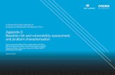 Appendix C Baseline risk and vulnerability assessment;