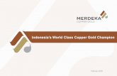 Indonesia’s World Class Copper Gold Champion