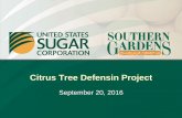 Citrus Tree Defensin Project - specialtycropassistance.org