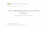 Does Hedging Increase Firm Value?