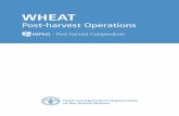 WHEAT - Food and Agriculture Organization