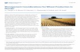 Management Considerations for Wheat Production in Florida