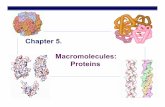 Chapter 5. Macromolecules: Proteins