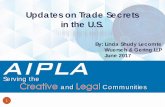Updates on Trade Secrets in the U.S. - AIPPI