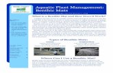 Aquatic Plant Management: Benthic Mats