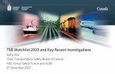 TSB Watchlist2020 and Key Recent Investigations