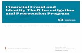 Financial Fraud and Identity Theft Investigation and ...