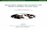 Biology and hatchery of mud crabs, Scylla spp.