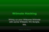 Wiimote Hacking - druid.caughq.org