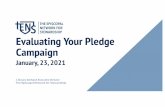 Evaluating Your Pledge Campaign