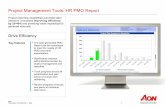 Project Management Tools: HR PMO Report