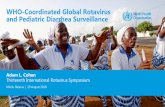 WHO-Coordinated Global Rotavirus and Pediatric Diarrhea ...