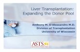 Liver Transplantation: Expanding the Donor Pool