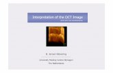 Interpretation of the OCT Image - New Developments