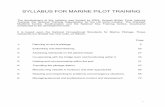 Marine Pilot Training Full_  - Port Skills and Safety