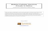 Revenue Assurance White Paper BH08 pdf - 4G Africa