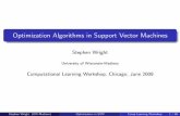 Optimization Algorithms in Support Vector Machines - Computer