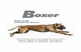 Tailor-made nutrition for Boxers - Boxer Club of Canada