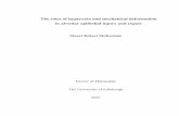 McKechnie SR PhD thesis 08.pdf - Edinburgh Research Archive