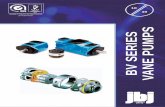 BV Series Vane Pump - jbj Techniques Limited