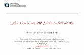 QoS Issues in GPRS/UMTS Networks