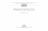 Regulatory Functions of the Juxtaglomerular Apparatus
